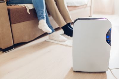 Dehumidifier Replacement in Sarasota, FL