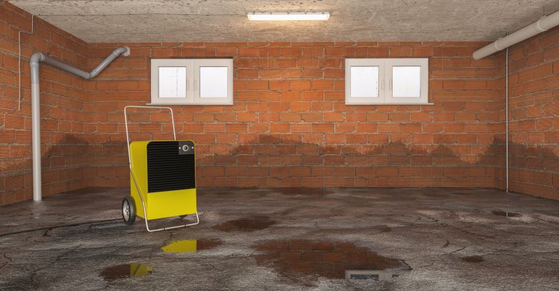 Basement Dehumidifier Service in Monmouth County, NJ