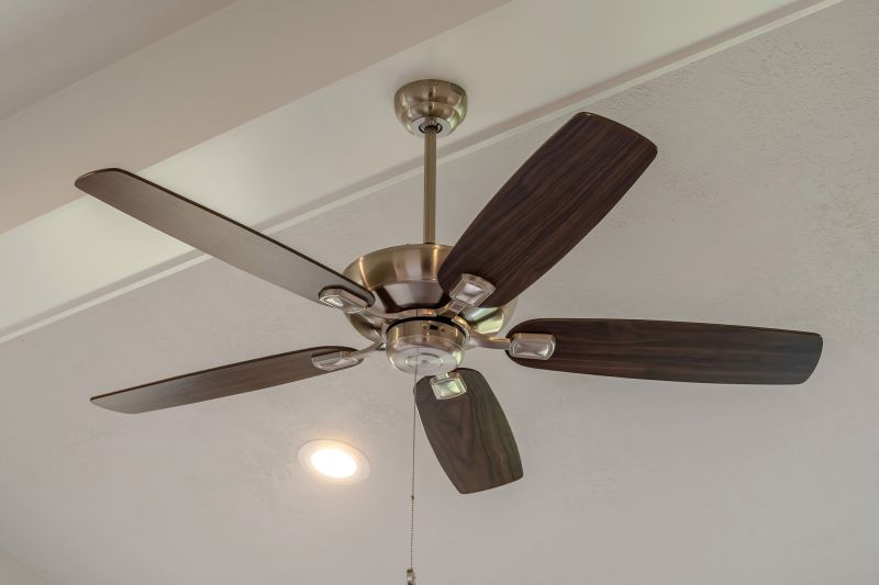 Ceiling Fan Replacement in Olathe, KS