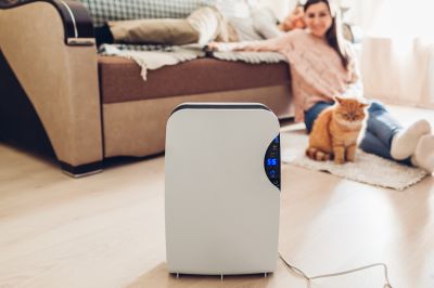 Dehumidifier Installation in Annapolis, MD
